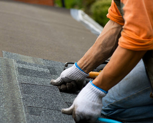 Roof Gutter Cleaning in Elko, NV